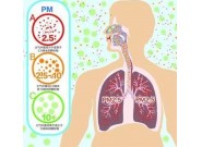 PM2.5，你知道了多少？